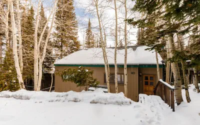 Snowshoe Inn The Pines - Ski-In/Ski-Out Mountain Getaway