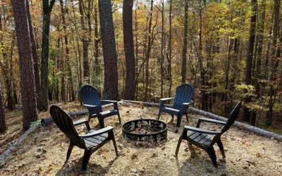 Photo 5 - Hollow Tree Hideaway - FREE Ticket for each night of your stay