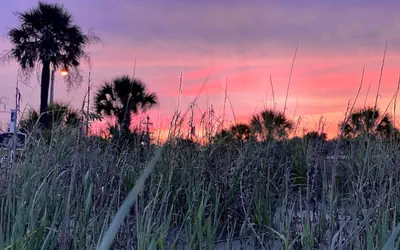 Photo 5 - 🌴 The Beach House at Ocean Lakes | 1,600 Sq Ft • Sleeps 8–10 • MH125 • Porch • Trailer Parking