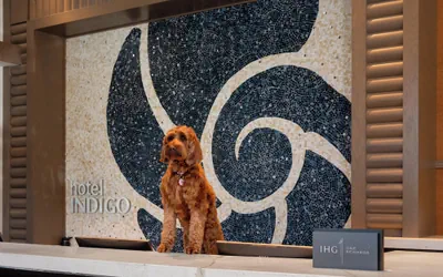 Hotel Indigo Long Island - East End by IHG