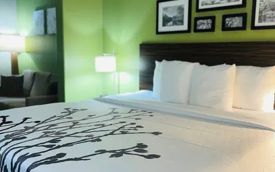 Photo 5 - Sleep Inn & Suites Round Rock - Austin North