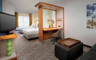 Photo 4 - SpringHill Suites Alexandria