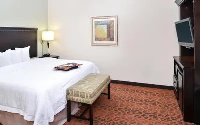 Photo 5 - Hampton Inn Pecos