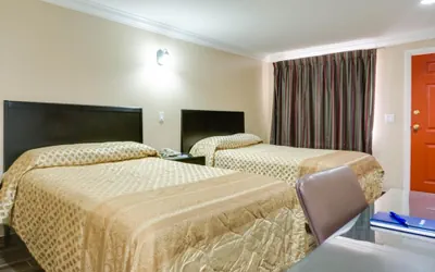 Photo 5 - Sky Palm Motel