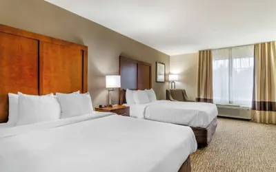 Photo 5 - Comfort Inn & Suites near Bethel College