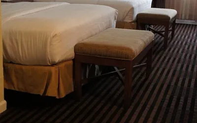 Photo 4 - Lexington Inn & Suites NW Chicago Elgin