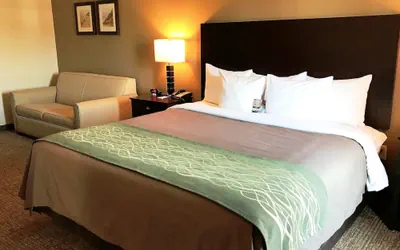 Photo 4 - Comfort Inn & Suites Porter near Indiana Dunes
