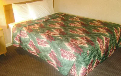 Photo 5 - Alma Motel Alma