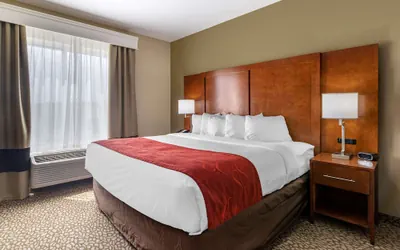Photo 5 - Comfort Suites Florence I-95
