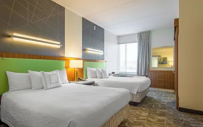 Photo 4 - SpringHill Suites by Marriott Tampa North/I 75 Tampa Palms