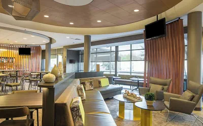 Photo 2 - SpringHill Suites by Marriott Tampa North/I 75 Tampa Palms