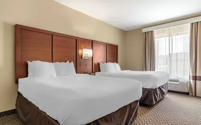 Photo 5 - Comfort Suites Medical Center near Six Flags