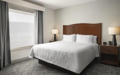 Photo 5 - Hampton Inn Elmira/Horseheads