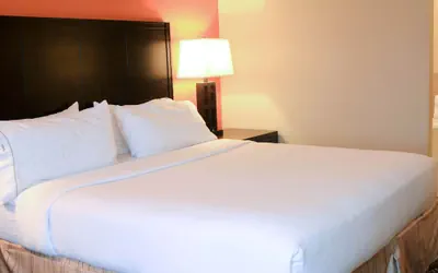 Photo 4 - Holiday Inn Express Hotel & Suites Grand Island by IHG