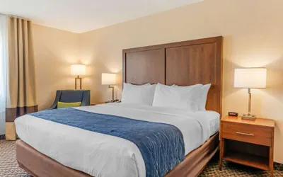 Photo 5 - Comfort Inn & Suites near Route 66
