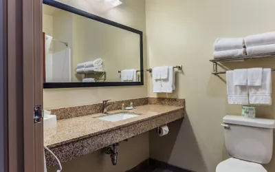 Photo 4 - Cobblestone Hotel & Suites - Andrews