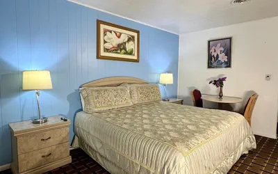 Photo 5 - Village Inn