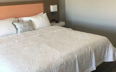 Photo 5 - Hampton Inn Midland South