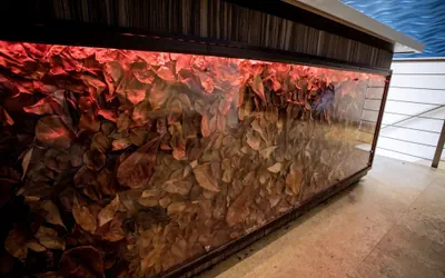 Photo 4 - Ciqala Suites Hotel