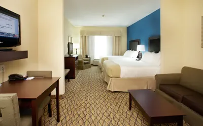 Photo 3 - Holiday Inn Express Hotel & Suites Bossier City - Louisiana by IHG