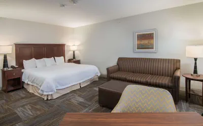 Photo 5 - Hampton Inn & Suites Selma-San Antonio-Randolph AFB Texas