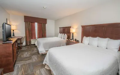 Photo 4 - Hampton Inn & Suites Selma-San Antonio-Randolph AFB Texas