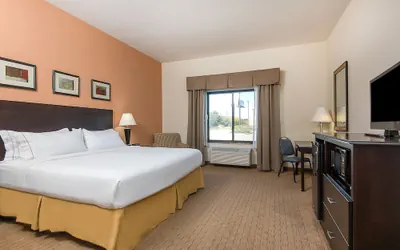 Photo 5 - Holiday Inn Express & Suites Lafayette East by IHG
