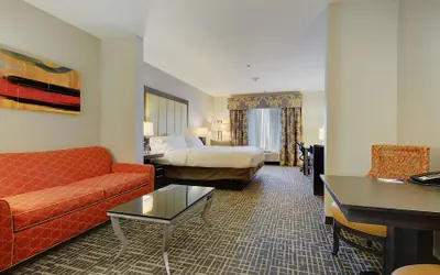 Photo 3 - Holiday Inn Express & Suites Gonzales by IHG