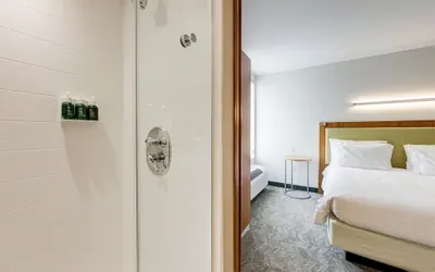 Photo 5 - SpringHill Suites Houston The Woodlands