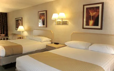 Photo 3 - Impala Island Inn