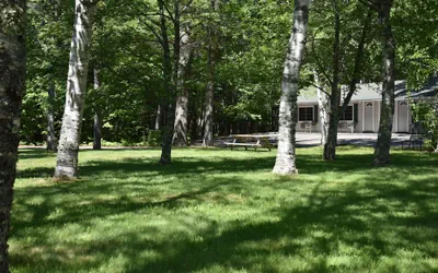 Acadia Pines Motel
