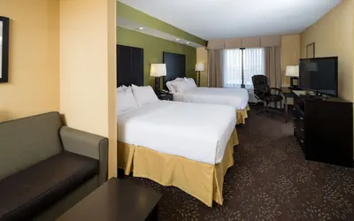 Photo 3 - Holiday Inn Express & Suites Detroit North - Troy by IHG