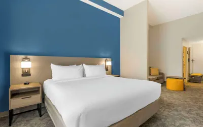 Photo 5 - Comfort Suites Sarasota - Siesta Key