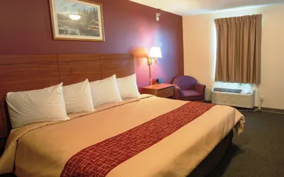 Photo 5 - Red Roof Inn & Suites Dickinson