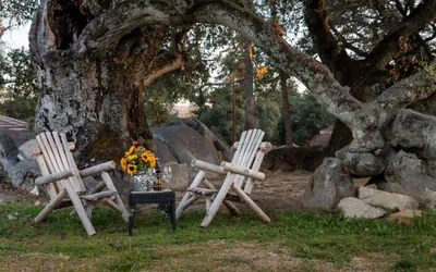 Photo 2 - Apple Tree Inn