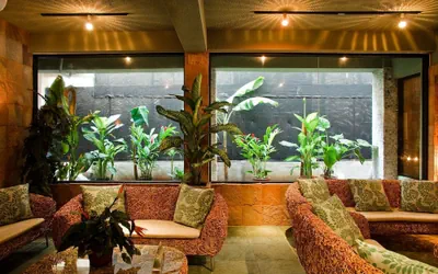 Photo 4 - Hanamitsu Hotel & Spa