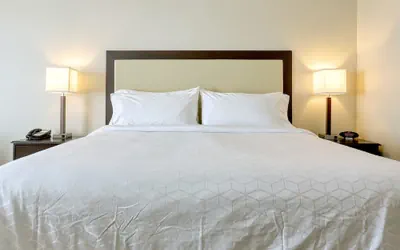 Photo 4 - Holiday Inn Express Hotel & Suites Batavia - Darien Lake by IHG