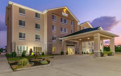 Photo 2 - Comfort Inn & Suites Marion I-57