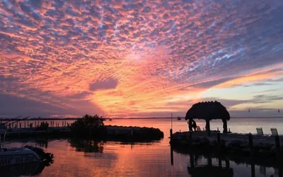 Photo 2 - Amoray Dive Resort