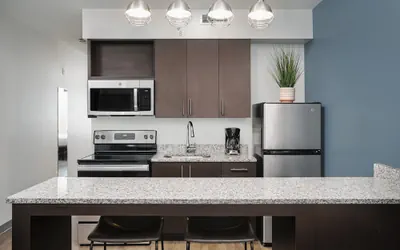 Photo 4 - stayAPT Suites Chattanooga-Ooltewah VW