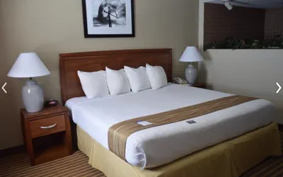 Photo 5 - Eleven Boutique Hotel