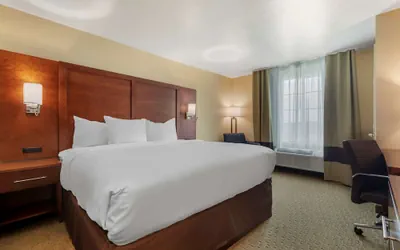 Photo 4 - Comfort Inn & Suites Euless DFW West
