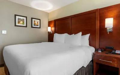 Photo 5 - Comfort Inn & Suites Euless DFW West
