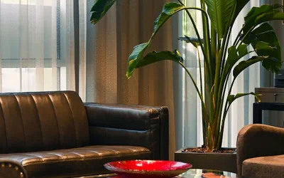 Photo 4 - Art House Hotel and Suites