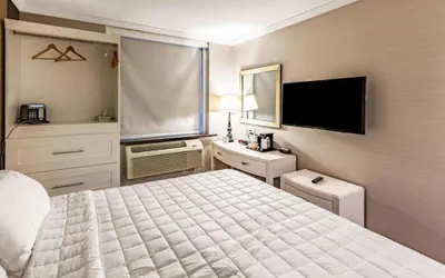 Photo 4 - Umbrella Hotel Brooklyn