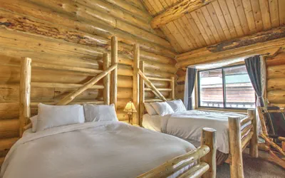 Photo 4 - The Hibernation Station