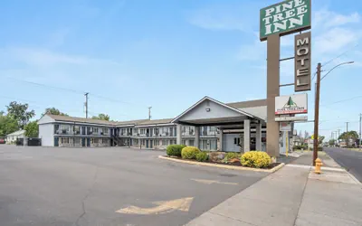Photo 2 - Pine Tree Inn