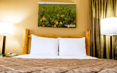 Photo 4 - Cranberry Country Lodge