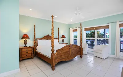 Photo 3 - Cape Palms