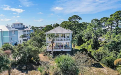 Photo 2 - Cape Palms